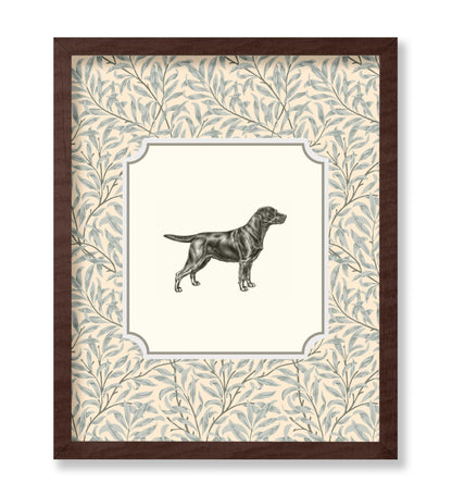 Dog Portrait No4