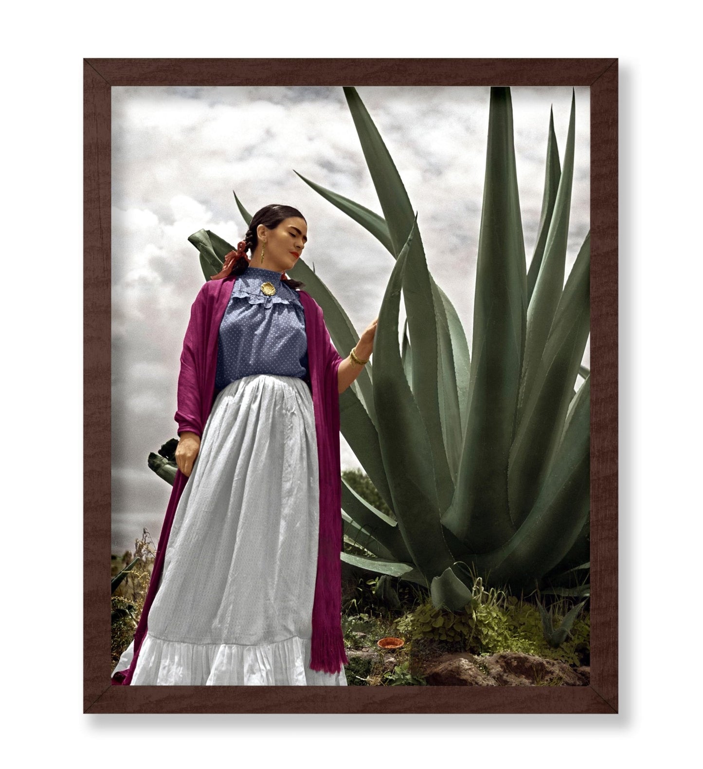 Frida Agave Plant