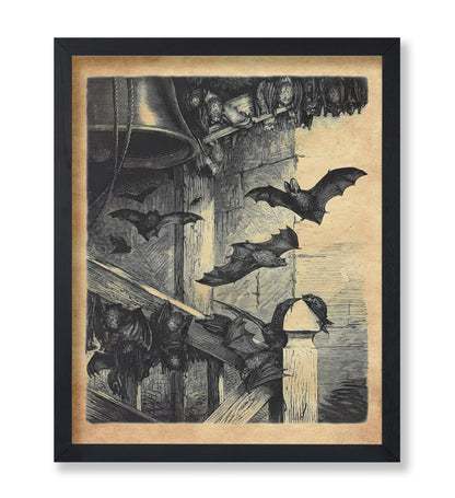 Bats In The Belfry