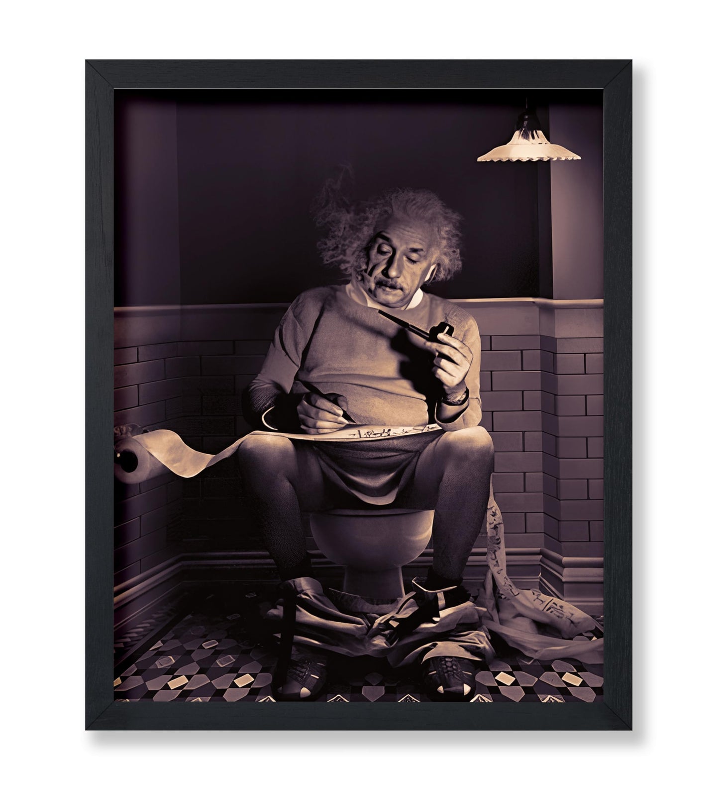Einstein Sitting on Toilet