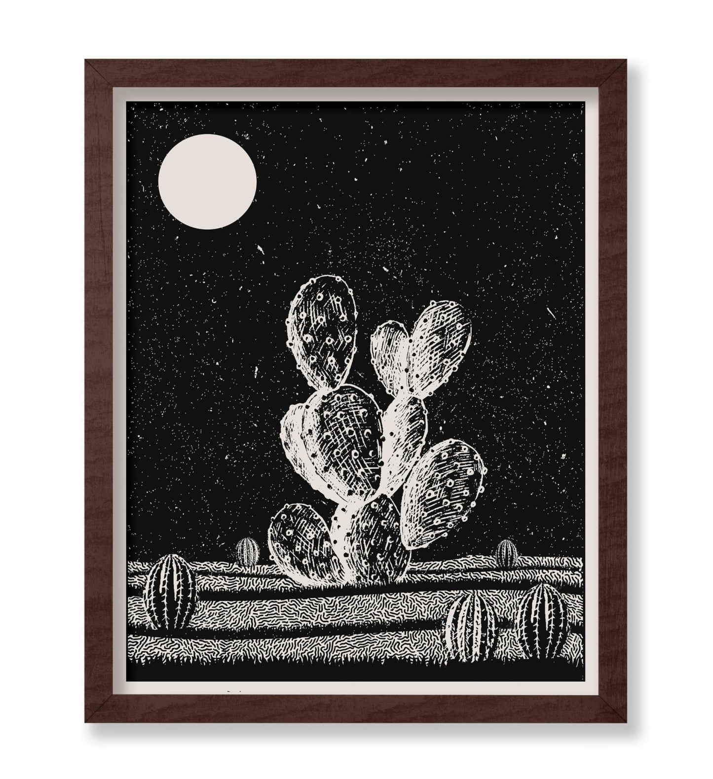 Cactus at Night