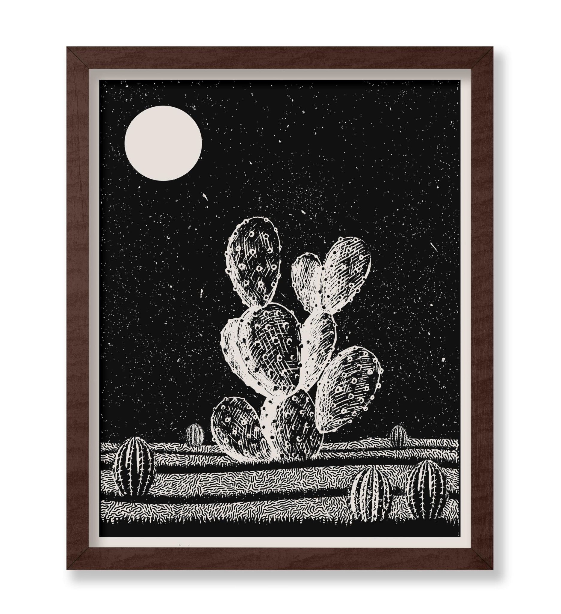 Cactus at Night