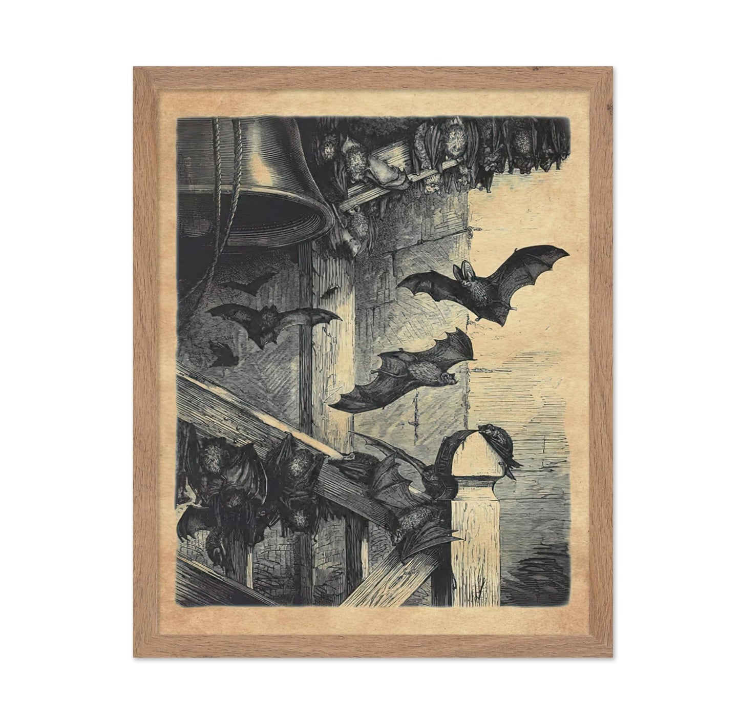 Bats In The Belfry