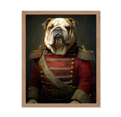 Aristocratic Bulldog