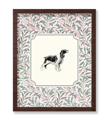 English Cocker Spaniel