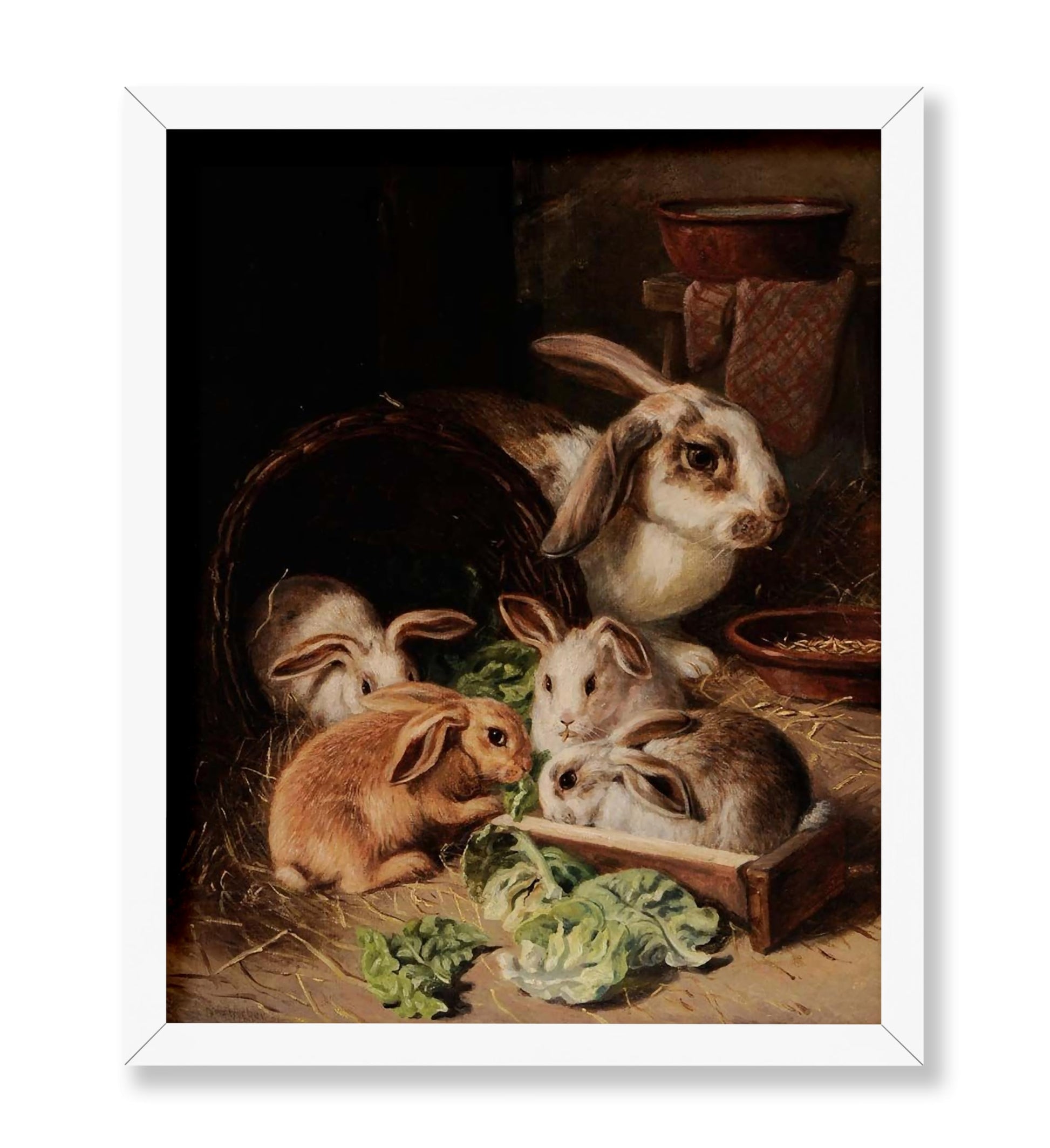 A Family of Rabbits