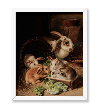 A Family of Rabbits