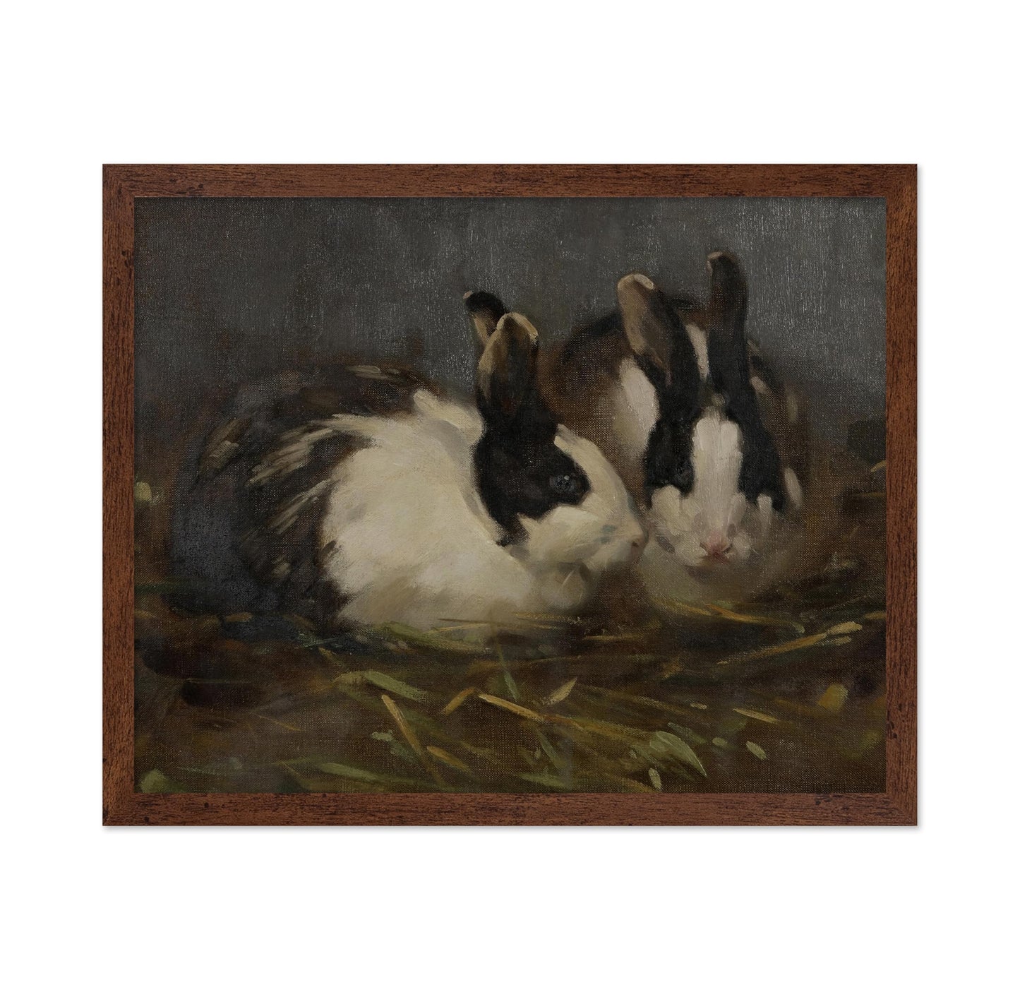 Dutch Rabbits