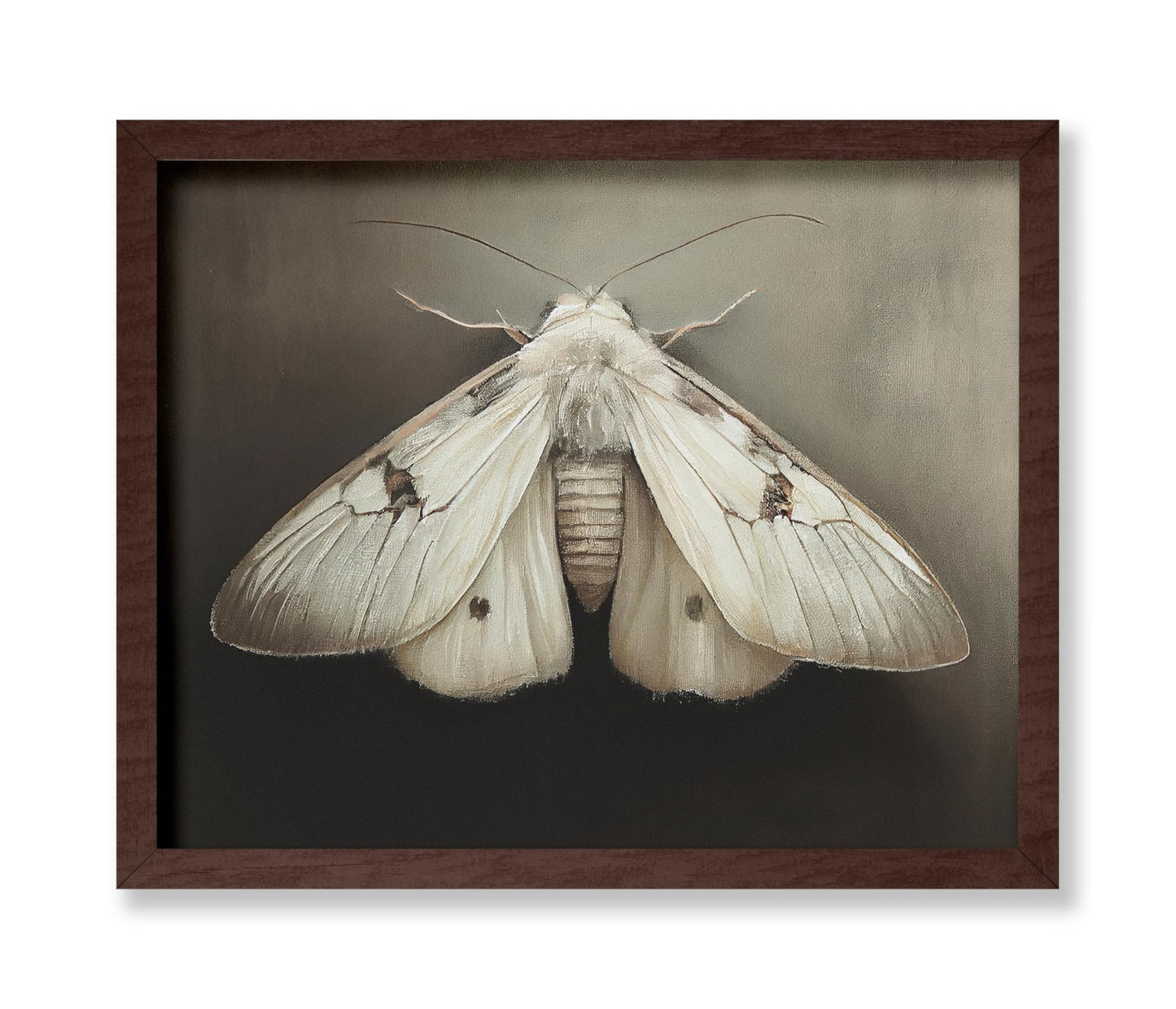 Moth