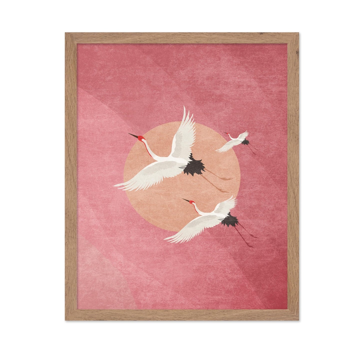 Flying Cranes, Pink Sky And Sun