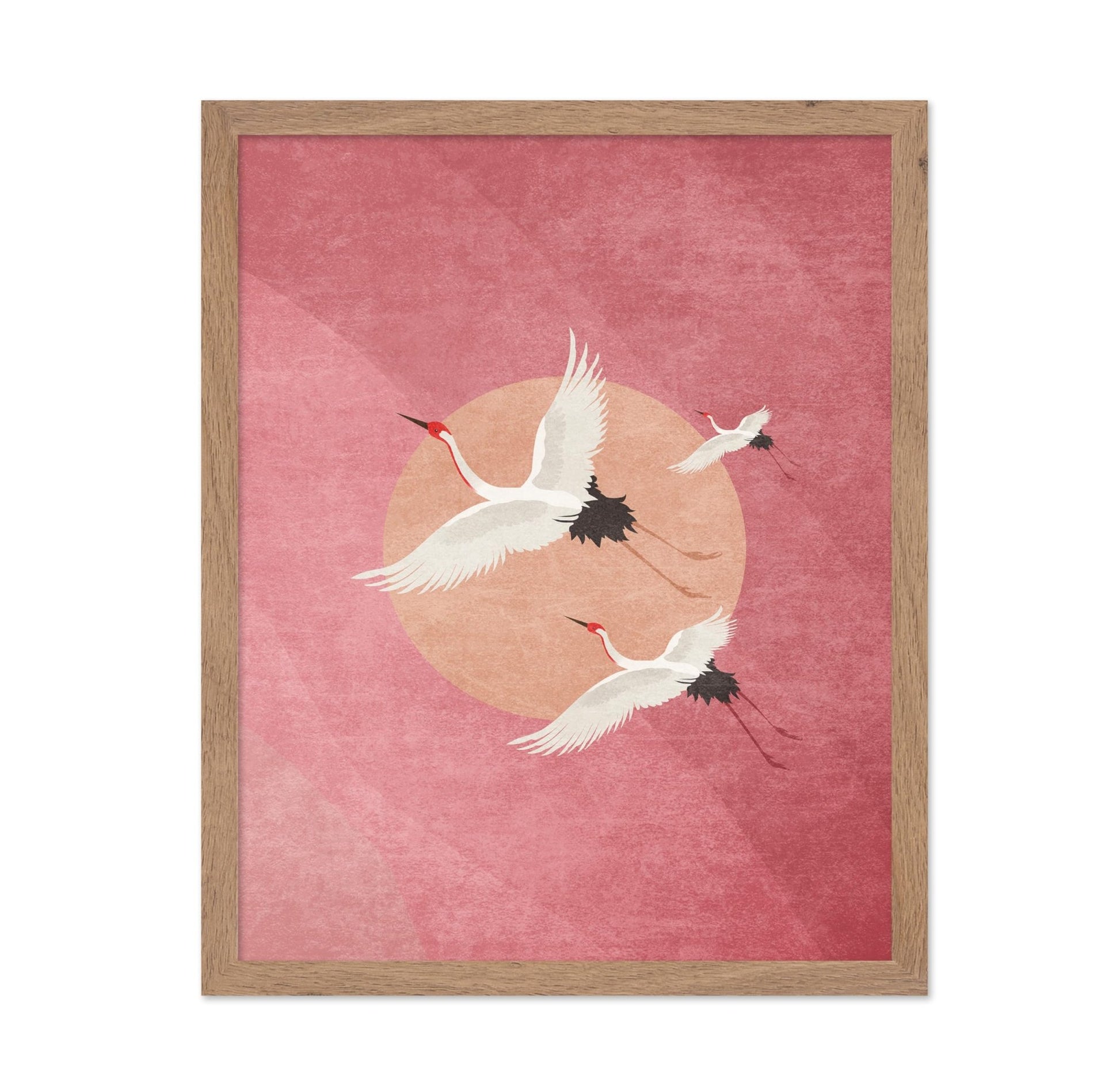 Flying Cranes, Pink Sky And Sun