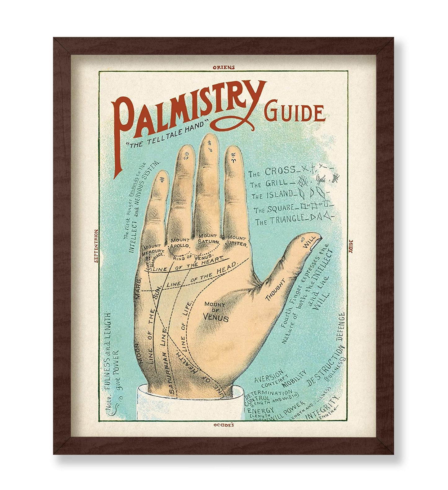 Palmistry Guide