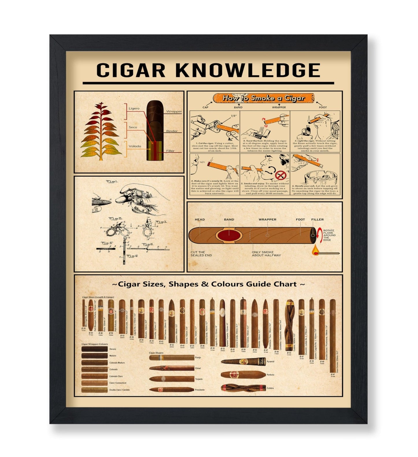 Cigar Knowledge