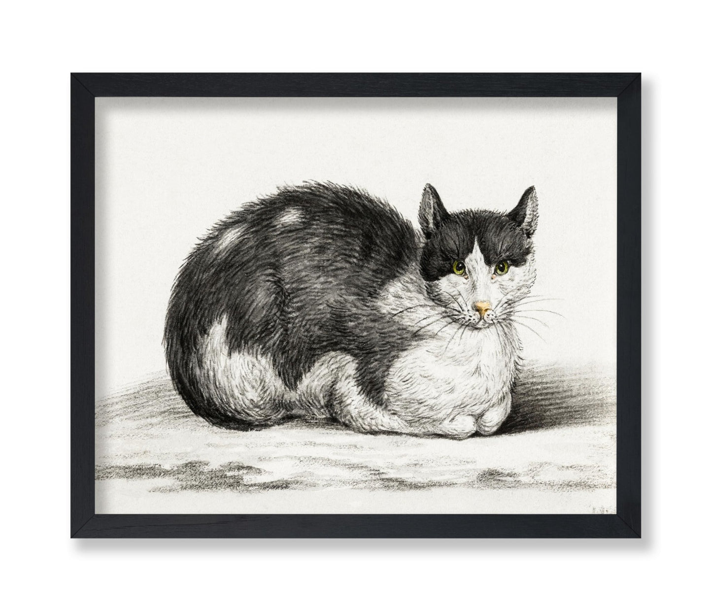 Lying Cat