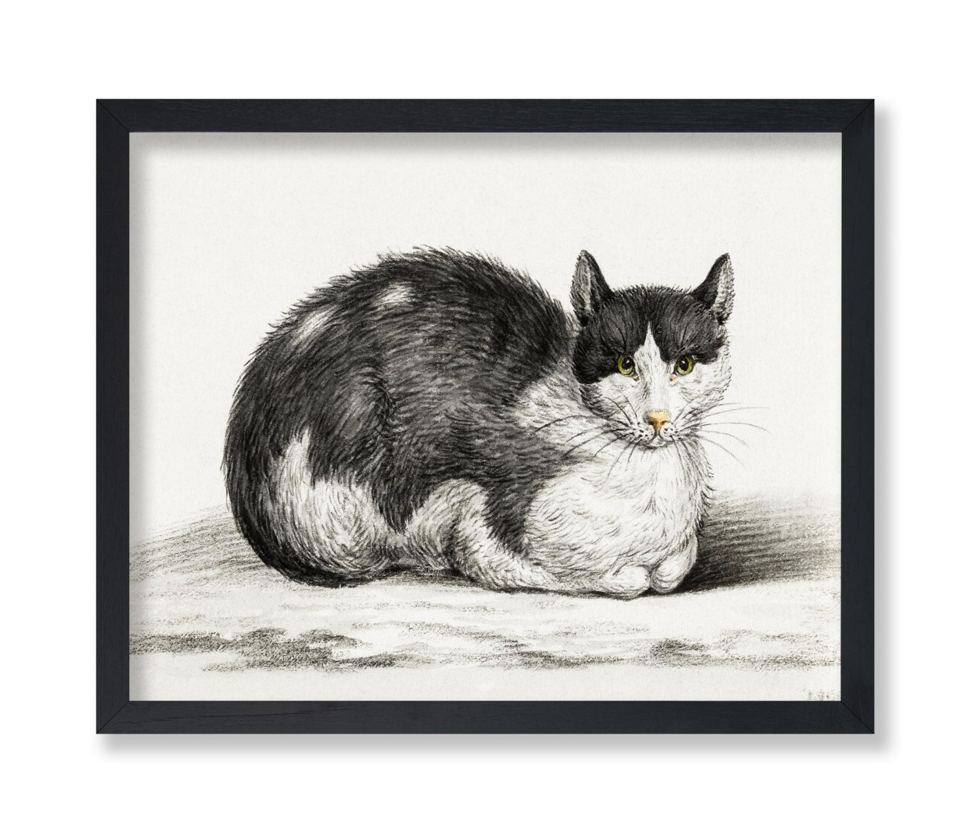 Lying Cat