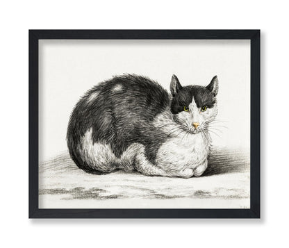 Lying Cat