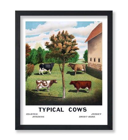 Typical Cows