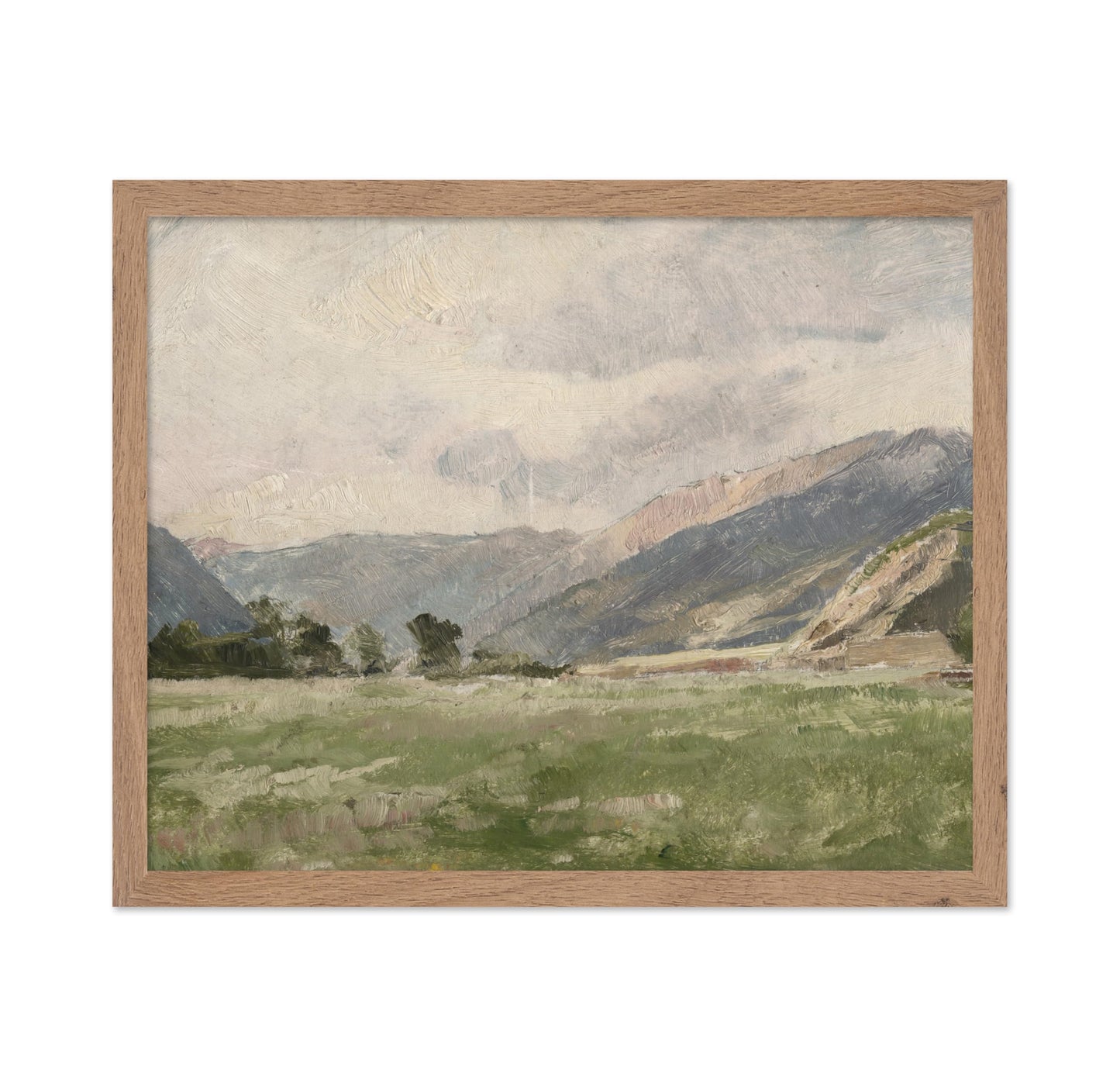 Mountain Meadow