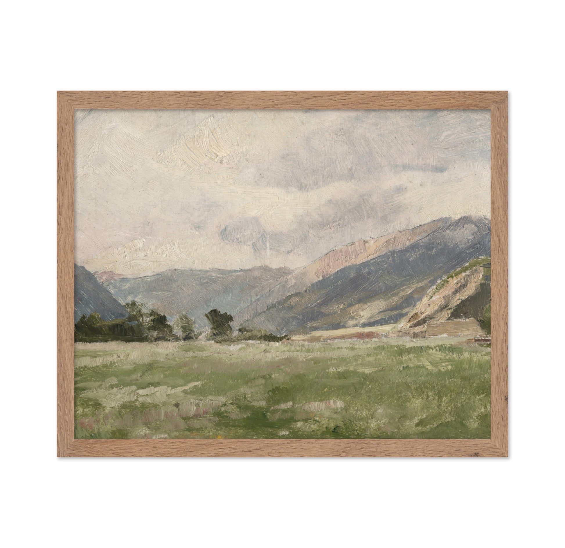 Mountain Meadow