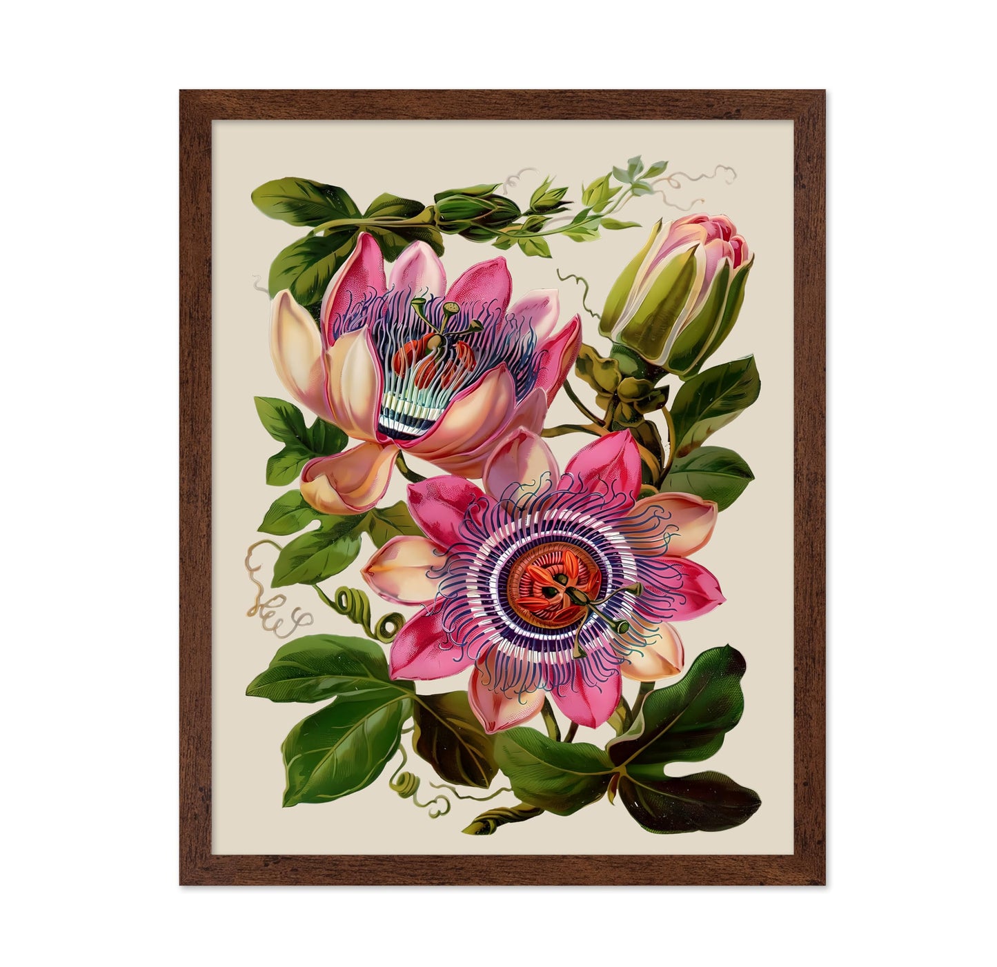 Passion Flower No2