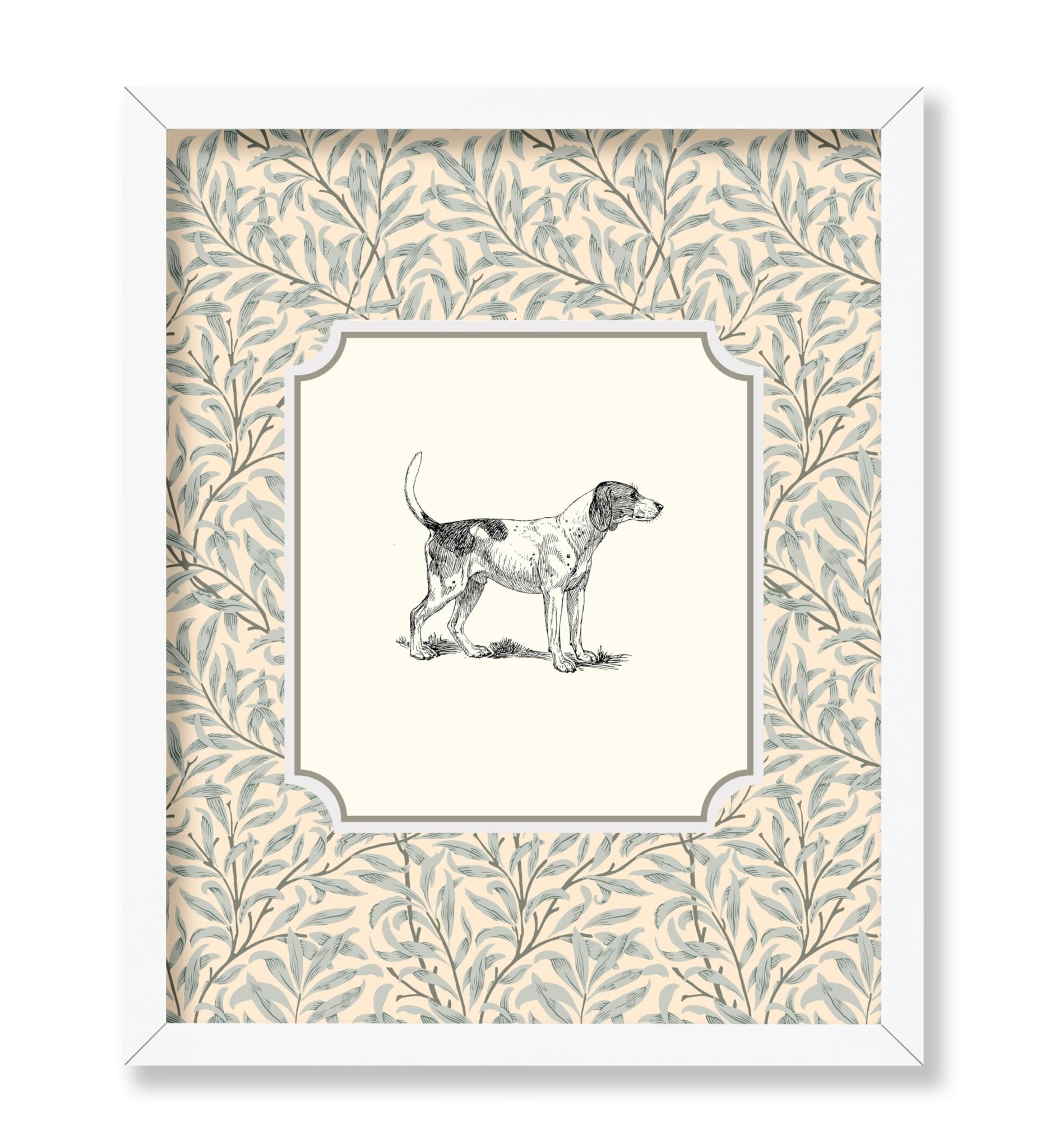 Foxhound Dog