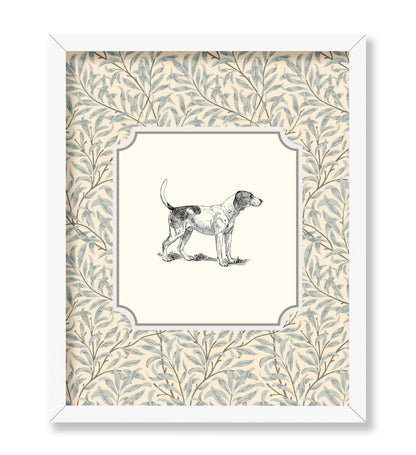 Foxhound Dog