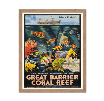 The Marine Wonders of the Great Barrier Coral Reef