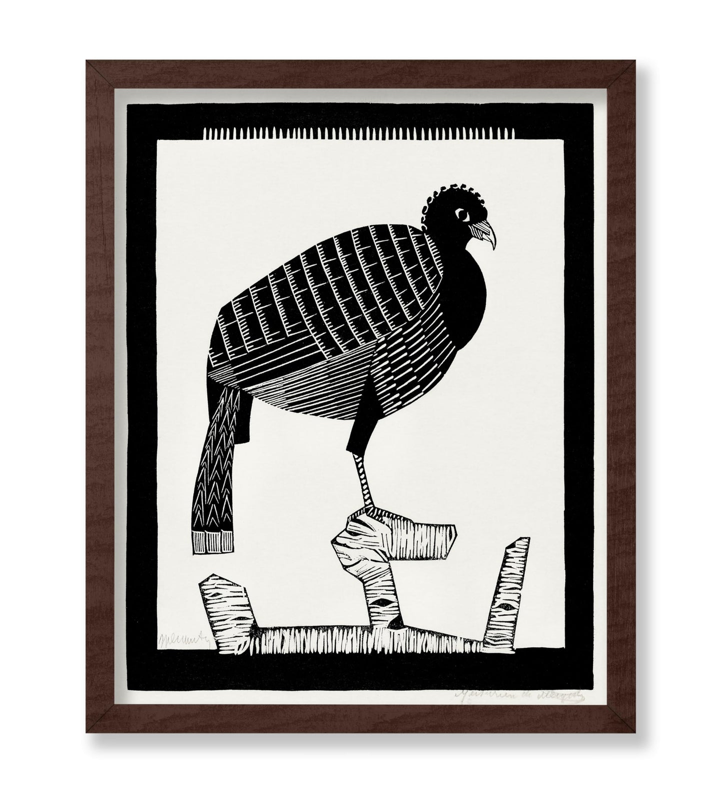 Pauwies Bird