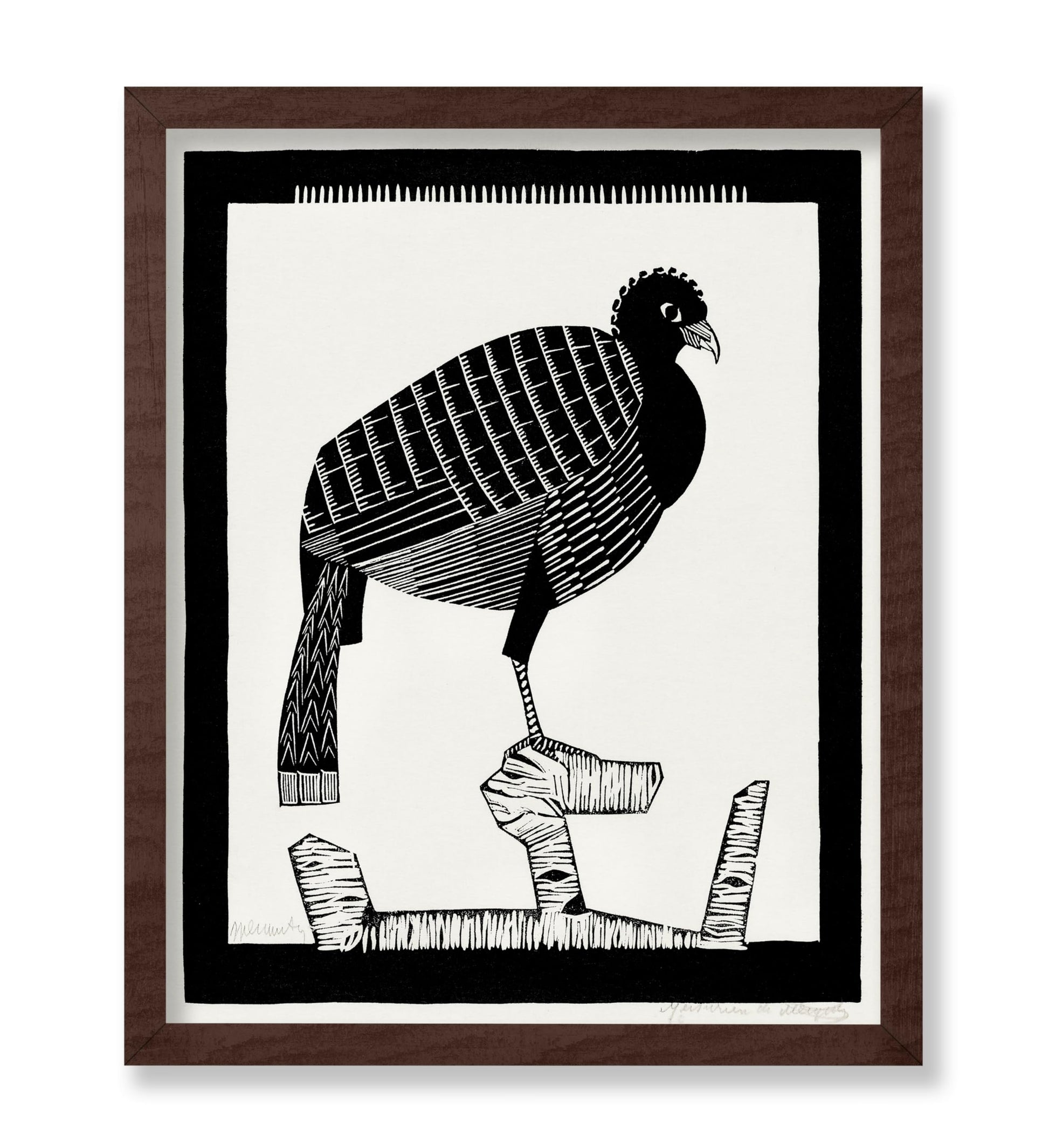 Pauwies Bird