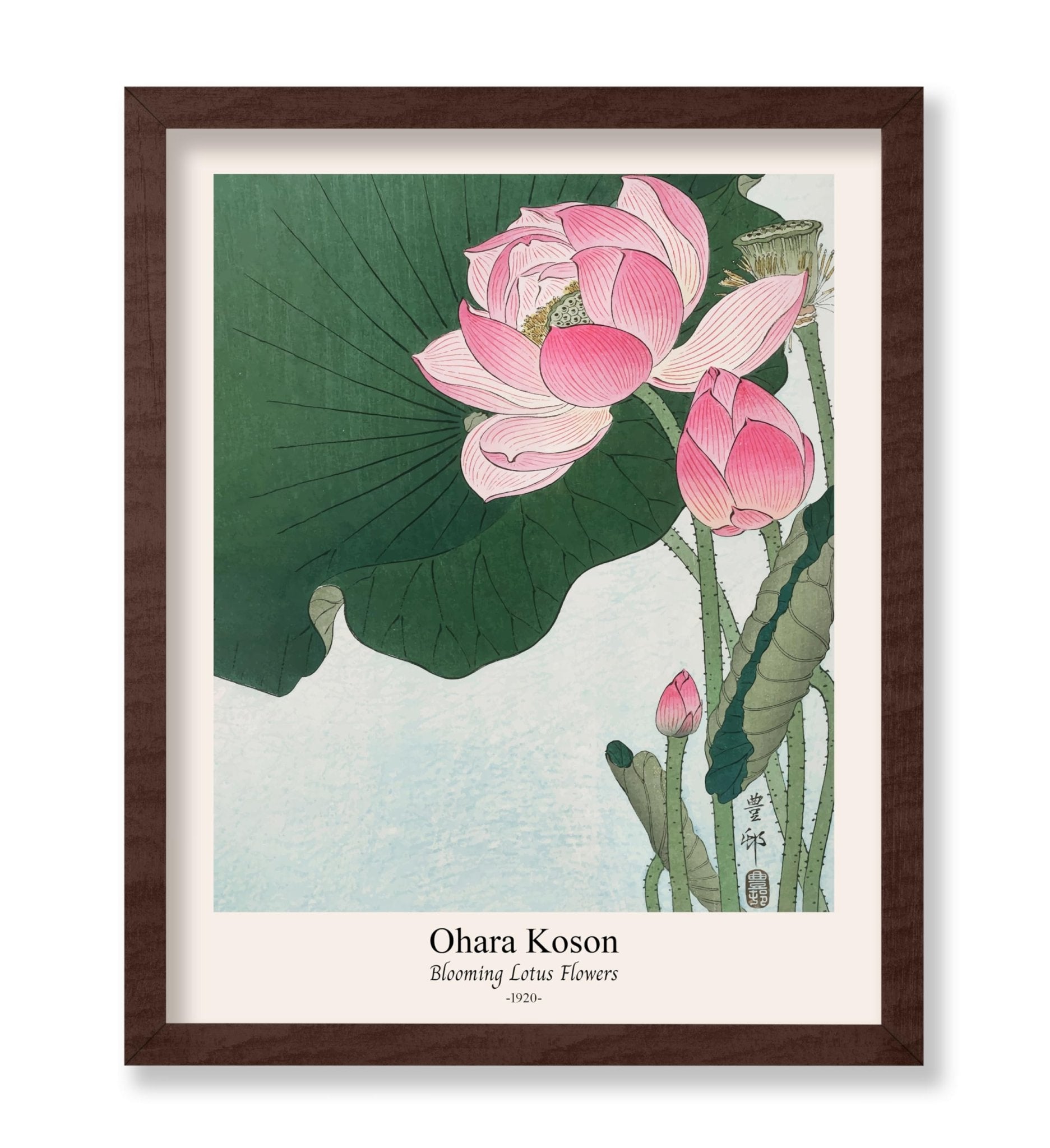 Ohara Koson - Blooming Lotus Flowers