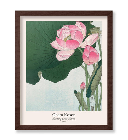 Ohara Koson - Blooming Lotus Flowers