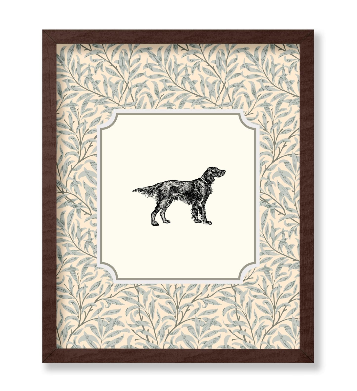 Irish Setter