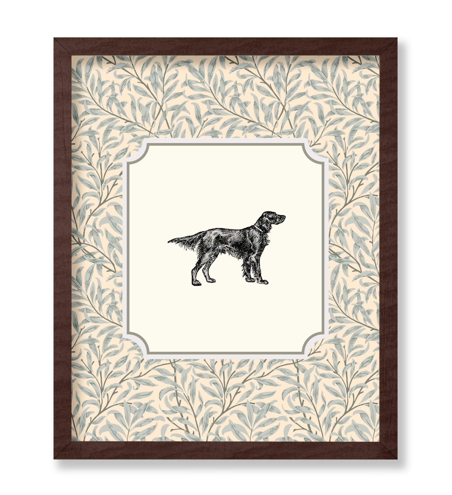 Irish Setter