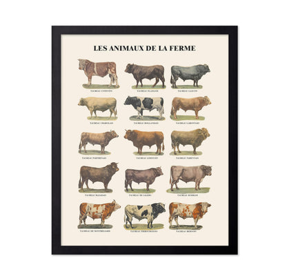 Farm Animals