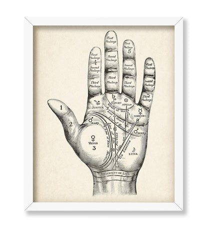 Palmistry