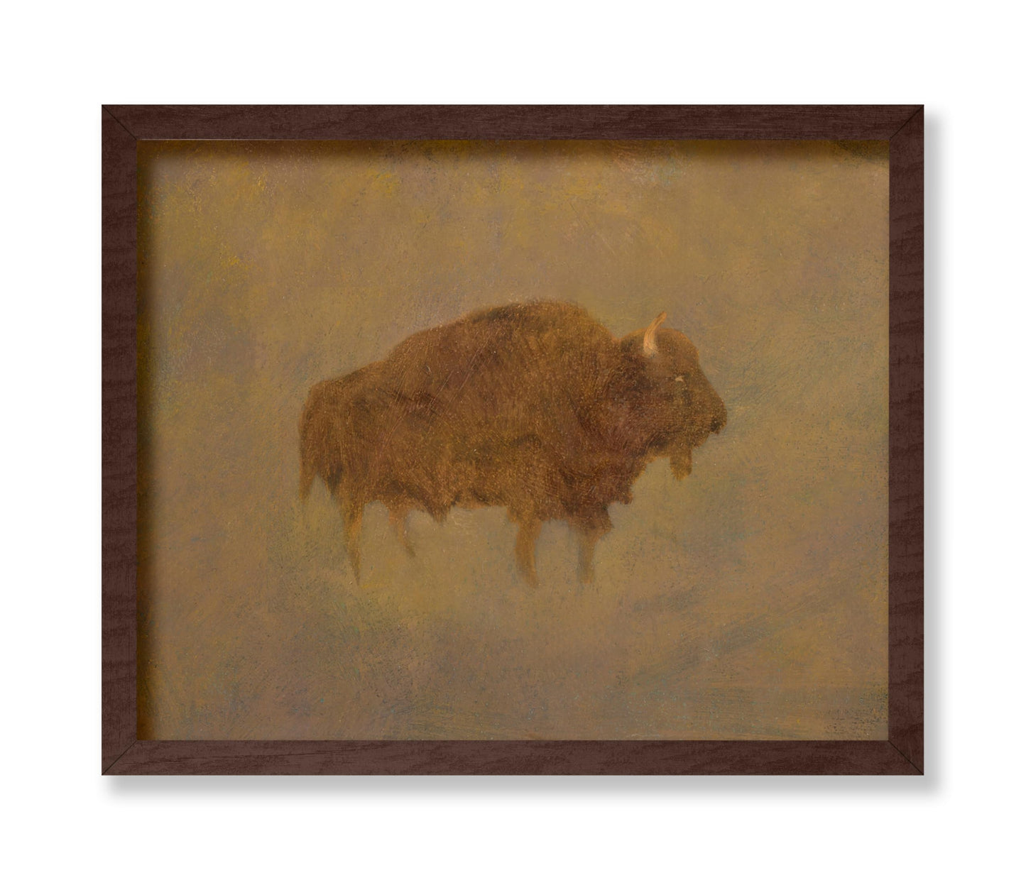 Buffalo in a Sandstorm