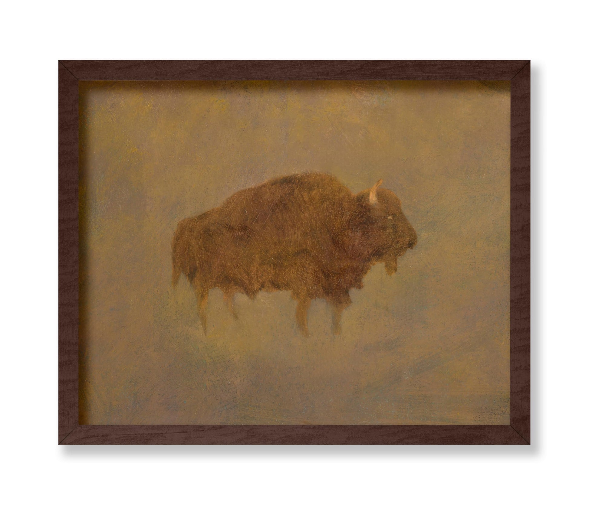 Buffalo in a Sandstorm