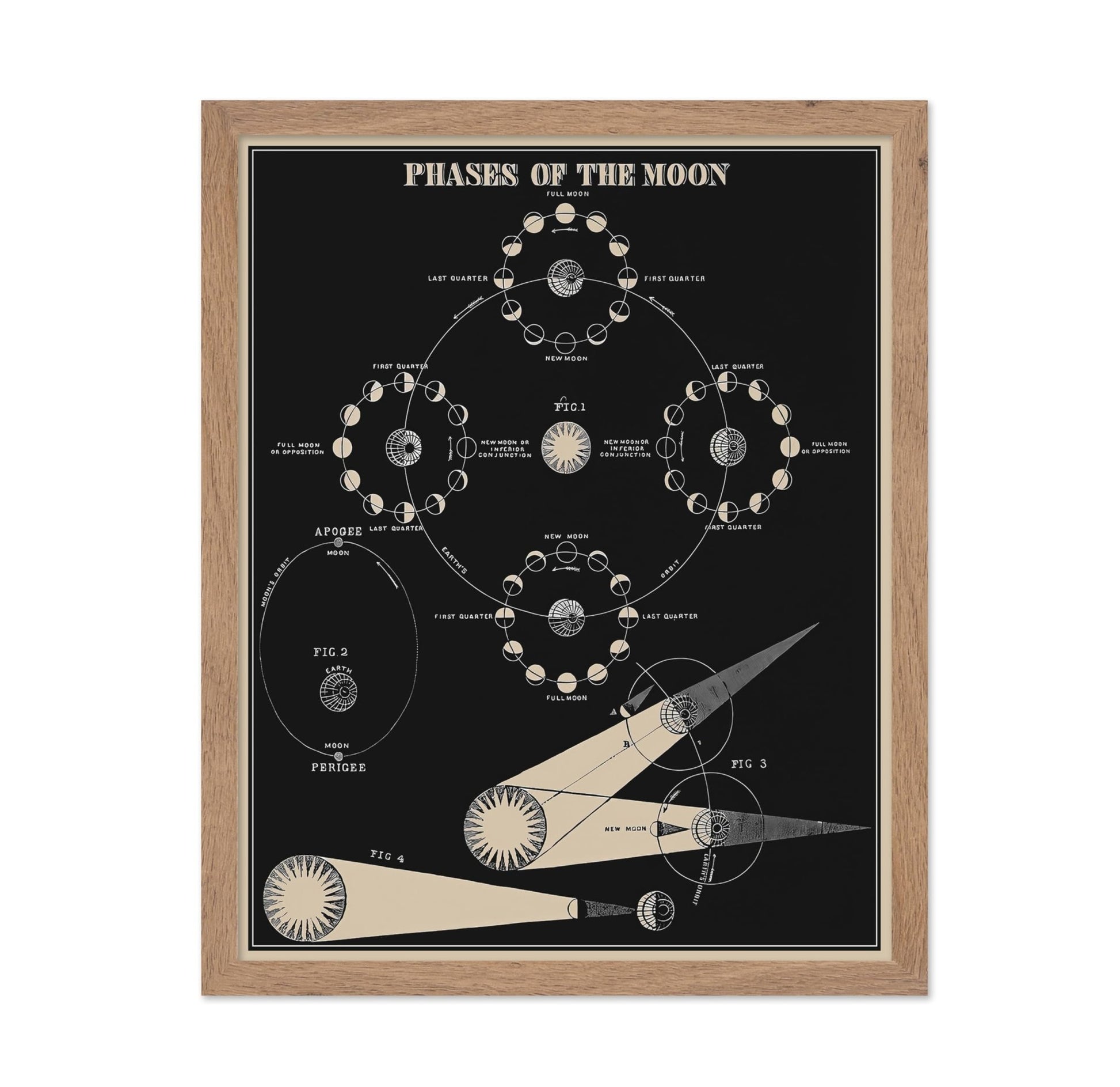 Phases of the Moon No1