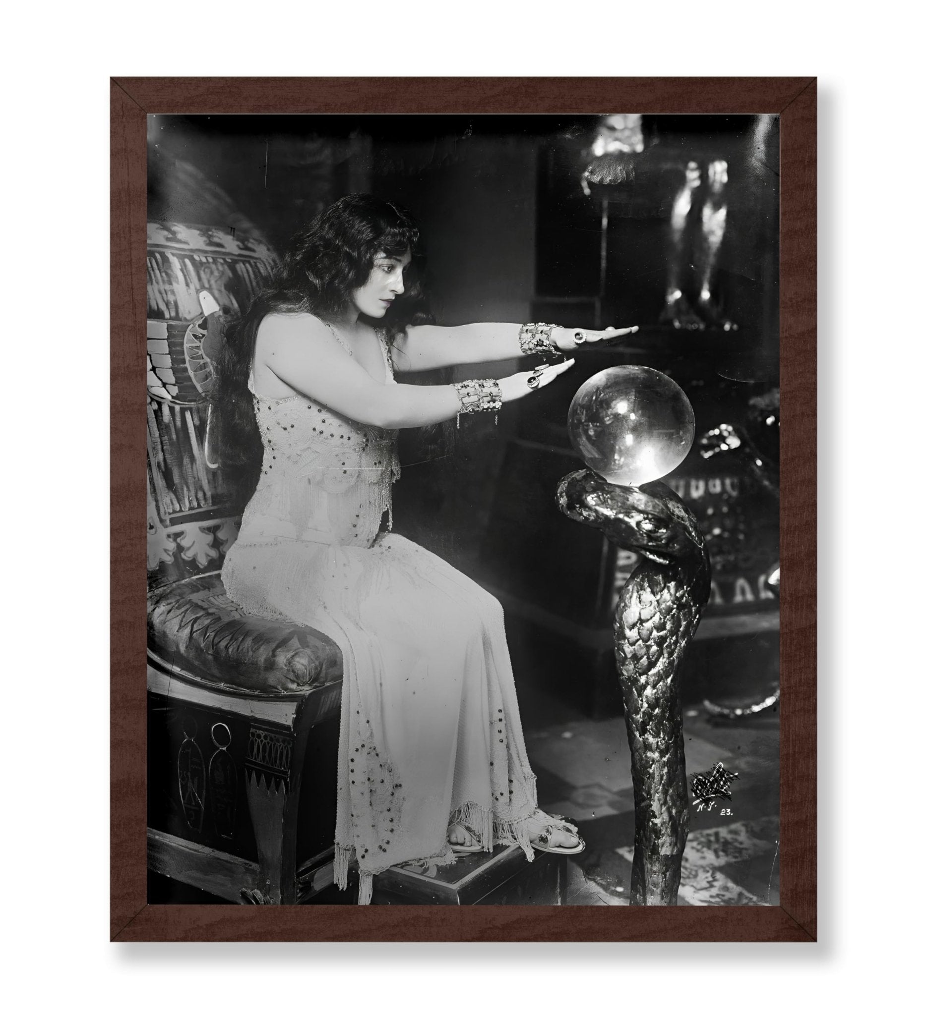 Fortune Teller No3