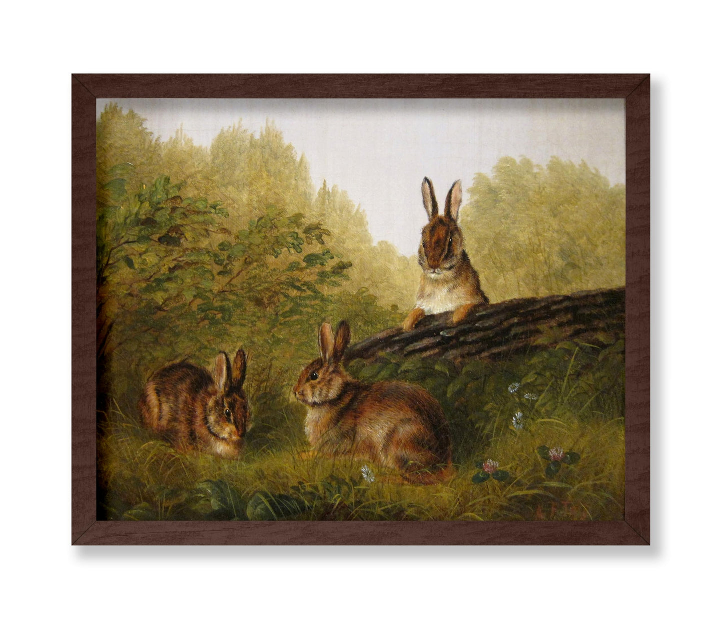 Rabbits on A Log