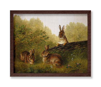 Rabbits on A Log