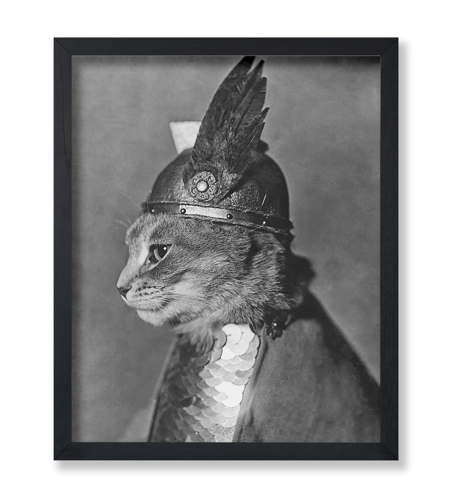 Brunnhilde The Cat