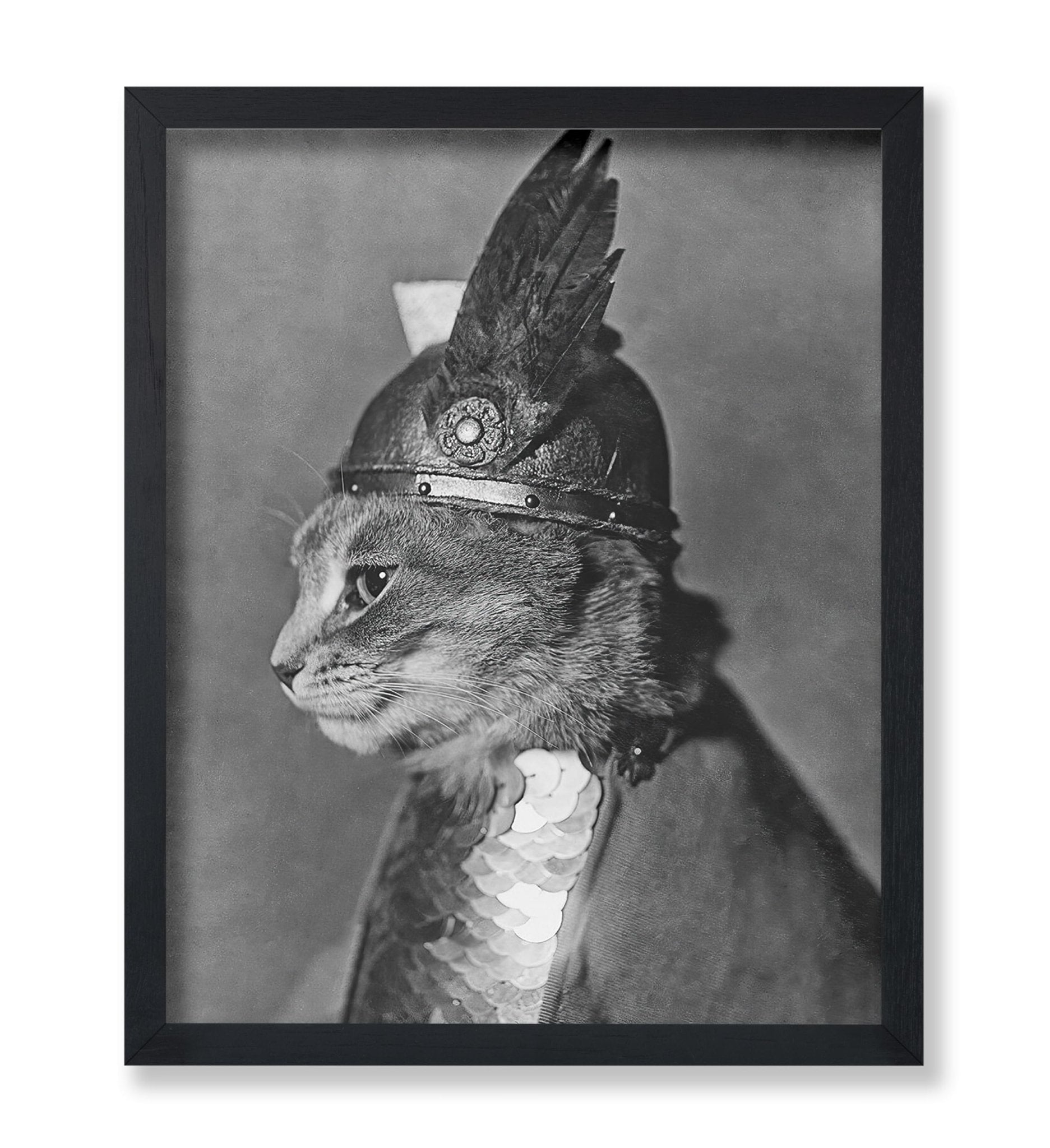 Brunnhilde The Cat