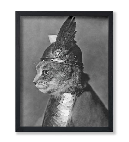 Brunnhilde The Cat