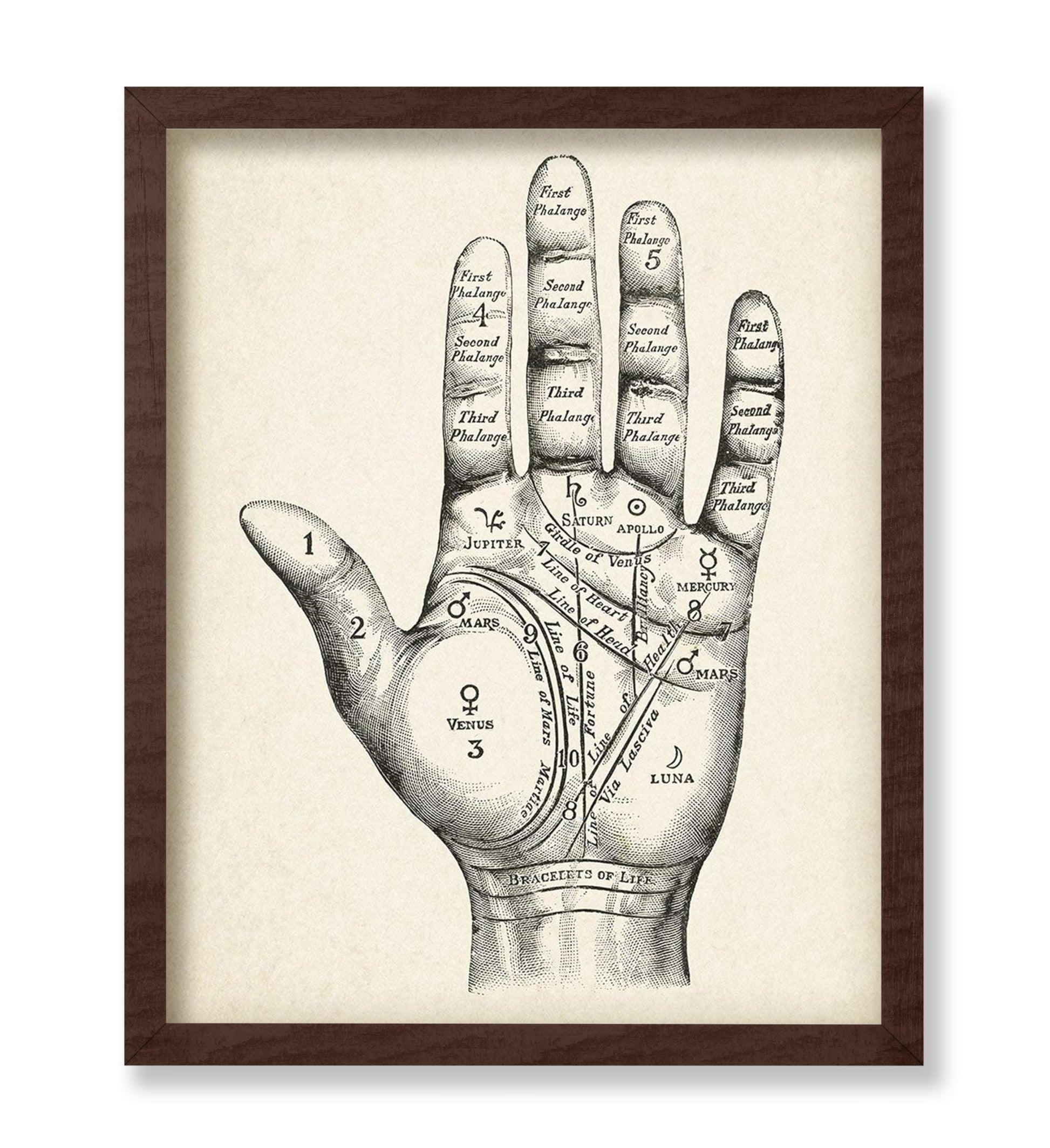 Palmistry