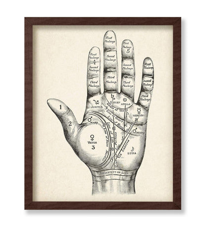 Palmistry