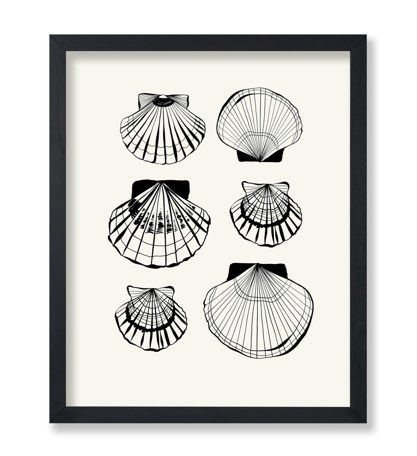 Abstract Clam Shells