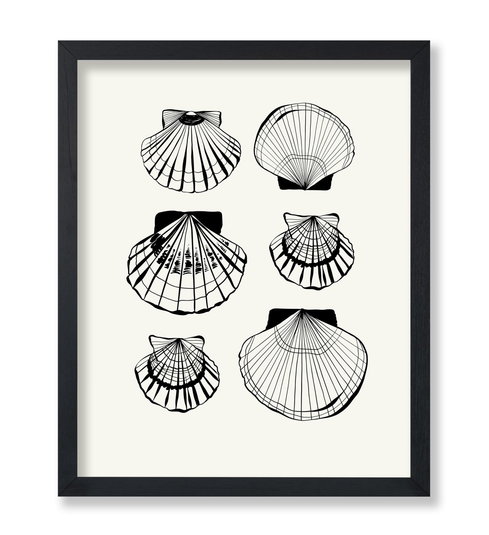 Abstract Clam Shells