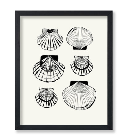 Abstract Clam Shells