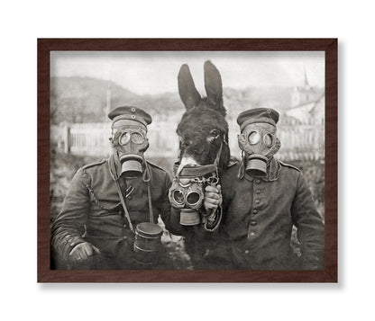 Donkey And Two Soldiers